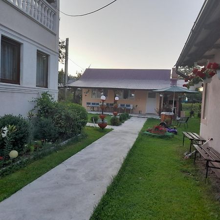 ホテル Casa Ionescu サドバ エクステリア 写真