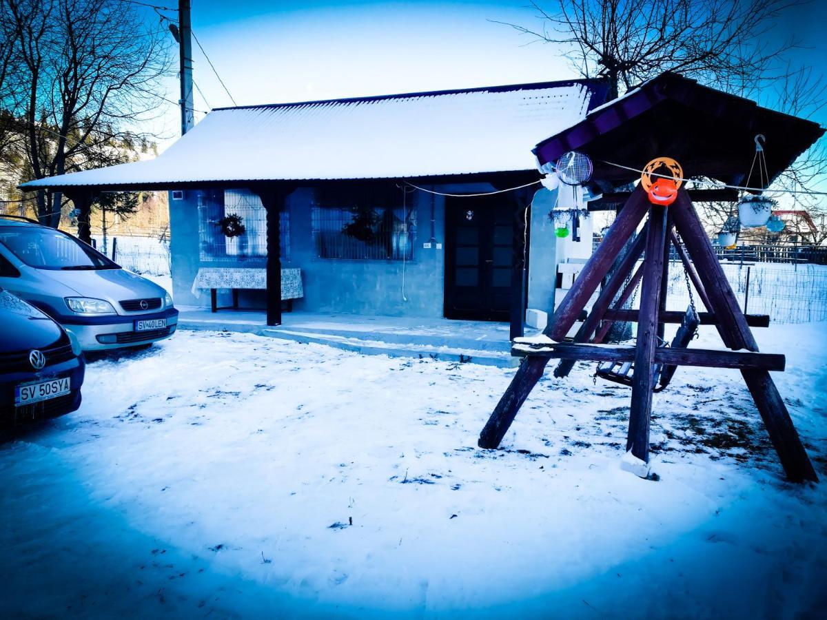 ホテル Casa Ionescu サドバ エクステリア 写真
