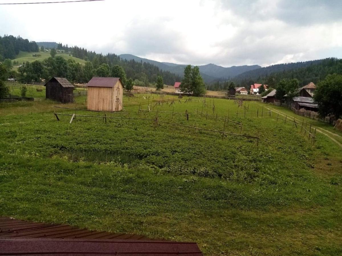 ホテル Casa Ionescu サドバ エクステリア 写真