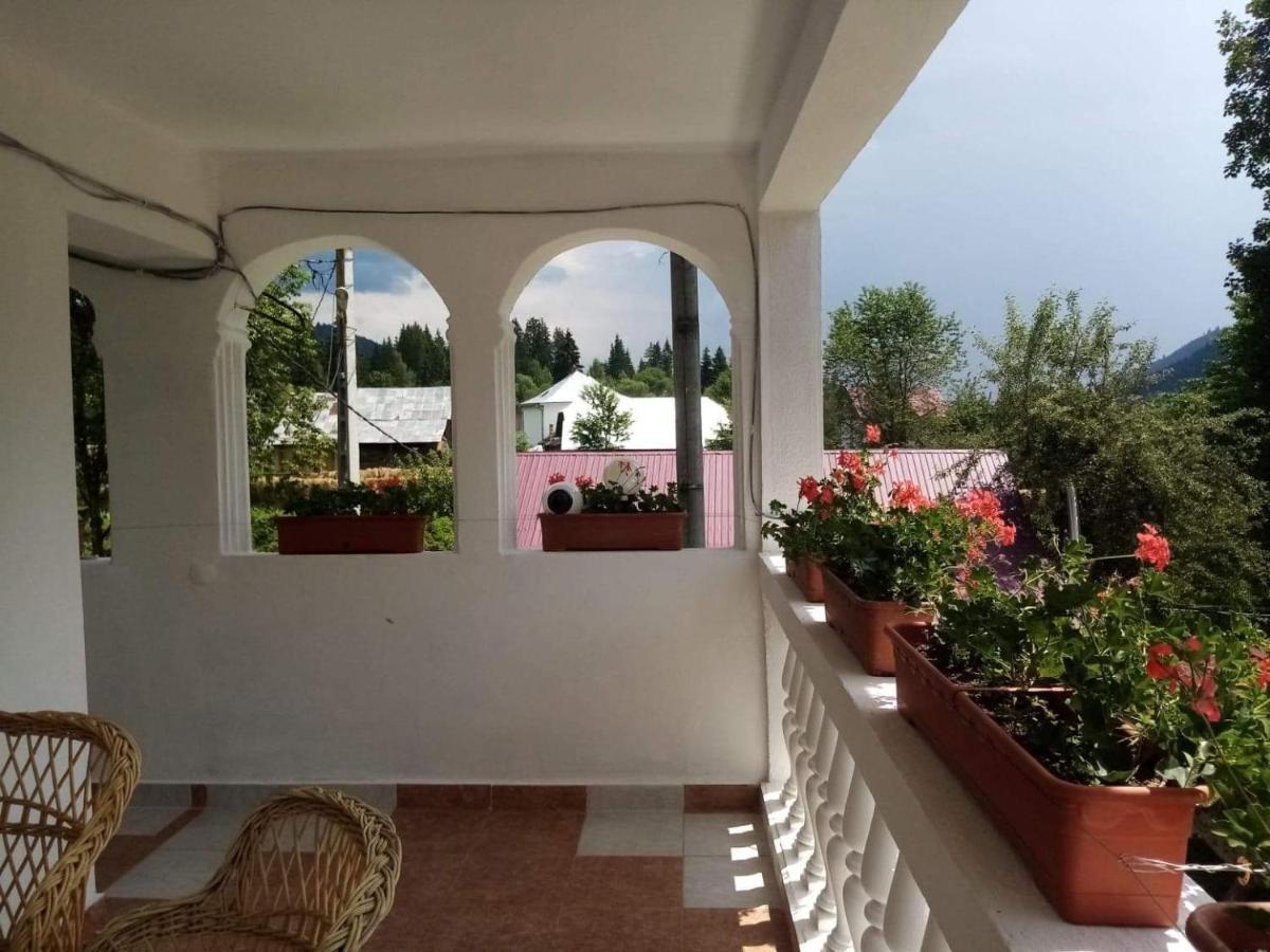 ホテル Casa Ionescu サドバ エクステリア 写真