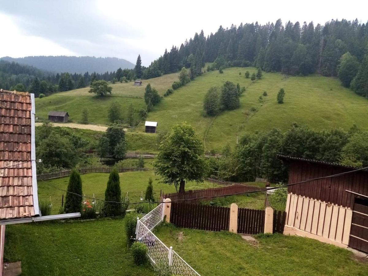 ホテル Casa Ionescu サドバ エクステリア 写真