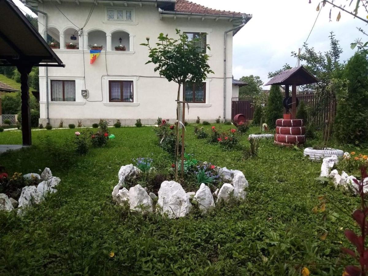 ホテル Casa Ionescu サドバ エクステリア 写真