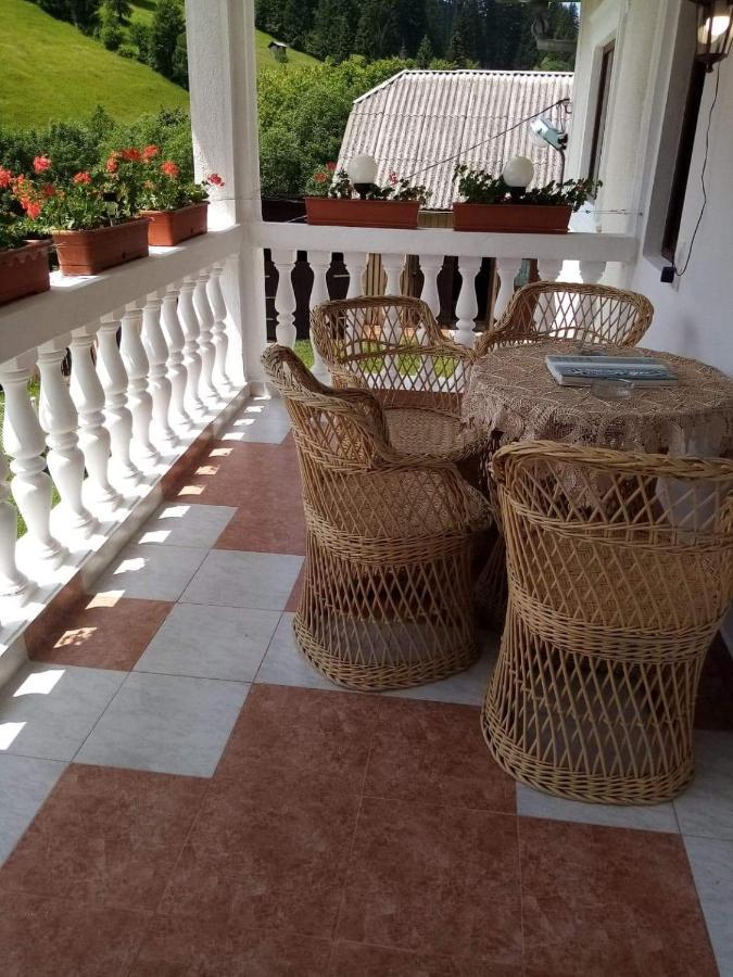 ホテル Casa Ionescu サドバ エクステリア 写真