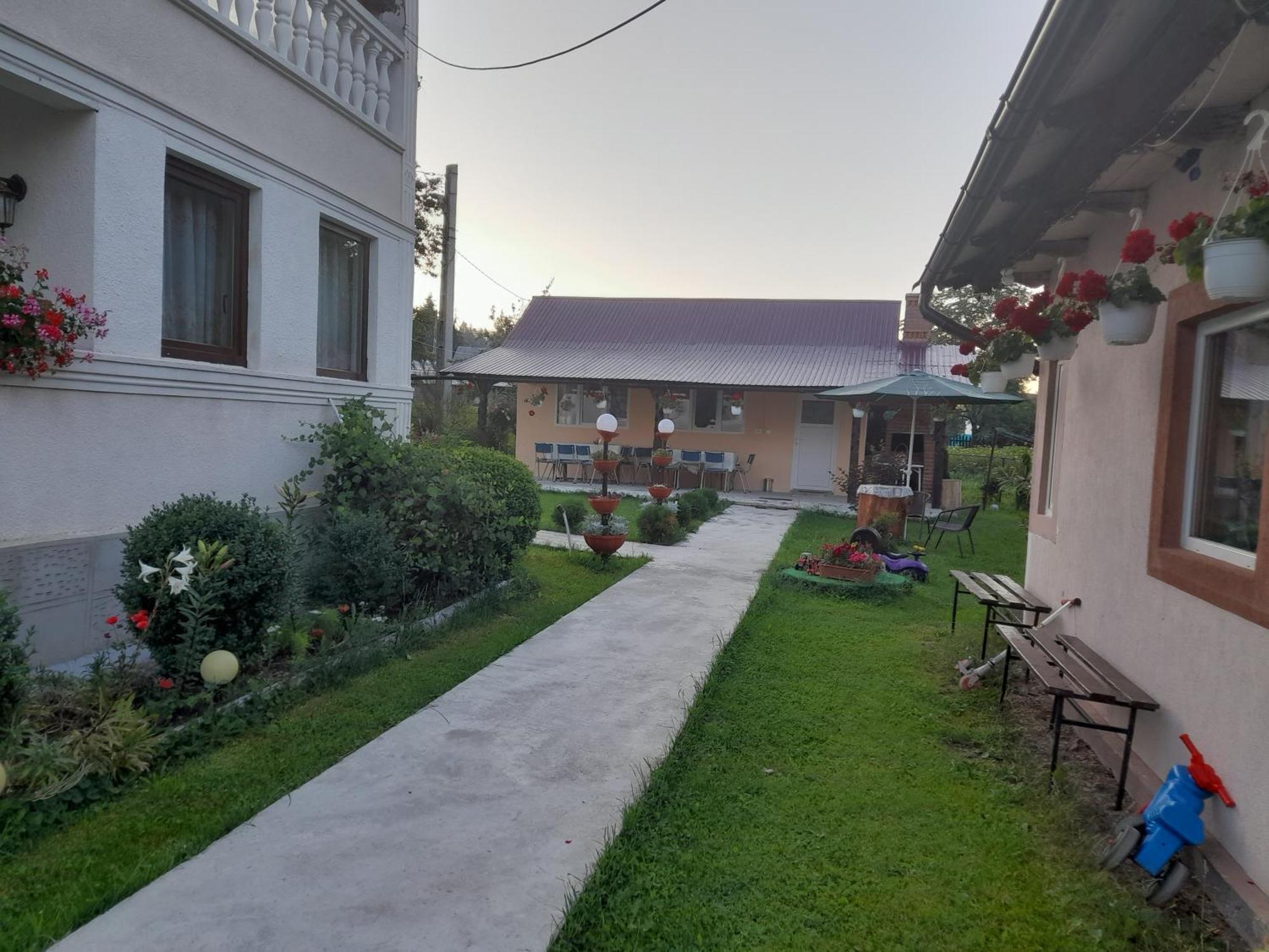 ホテル Casa Ionescu サドバ エクステリア 写真