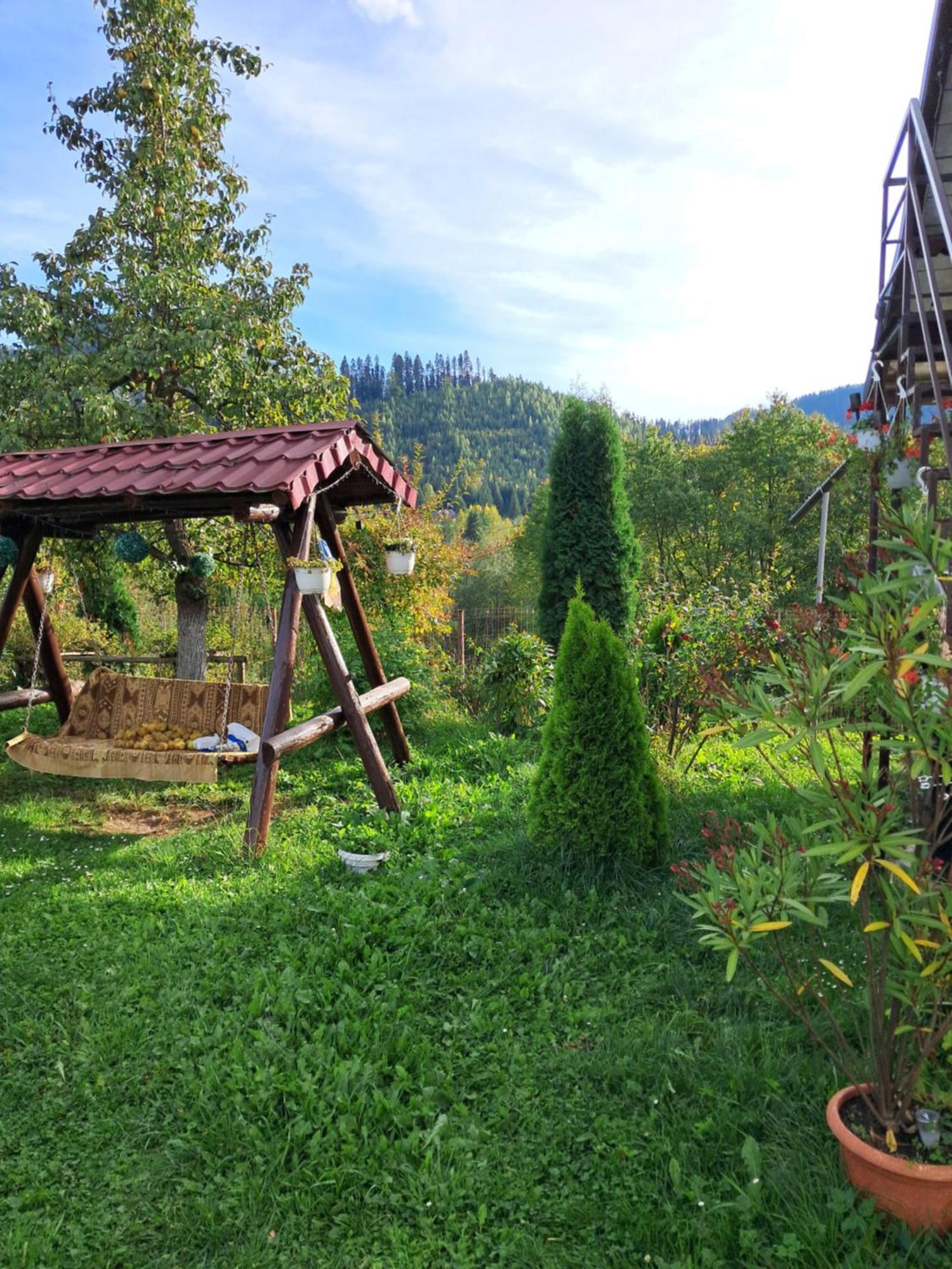 ホテル Casa Ionescu サドバ 部屋 写真