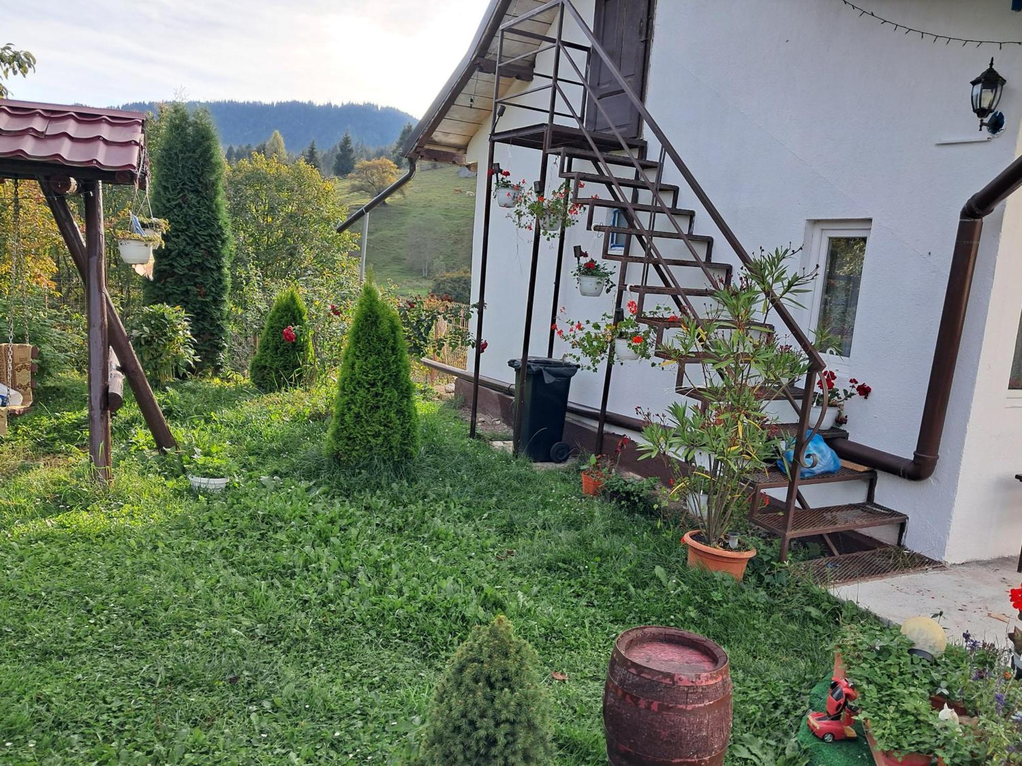 ホテル Casa Ionescu サドバ 部屋 写真
