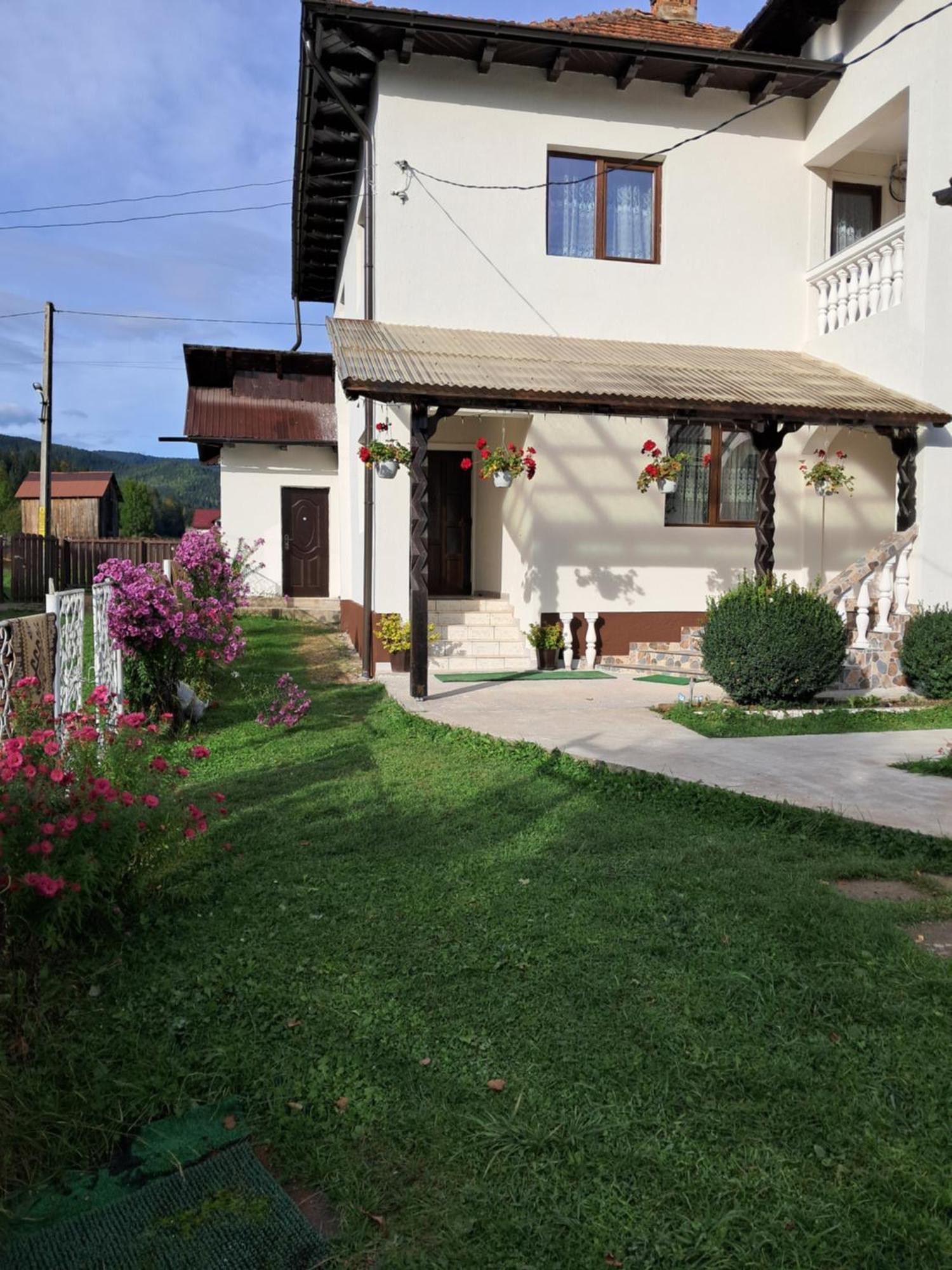 ホテル Casa Ionescu サドバ エクステリア 写真