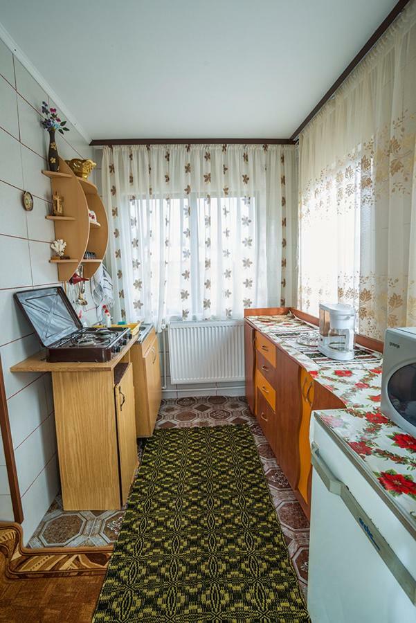 ホテル Casa Ionescu サドバ エクステリア 写真